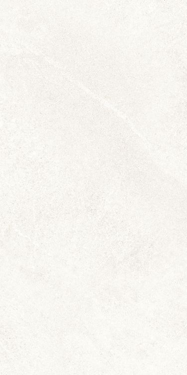 Dhara White Matte 12 x 24